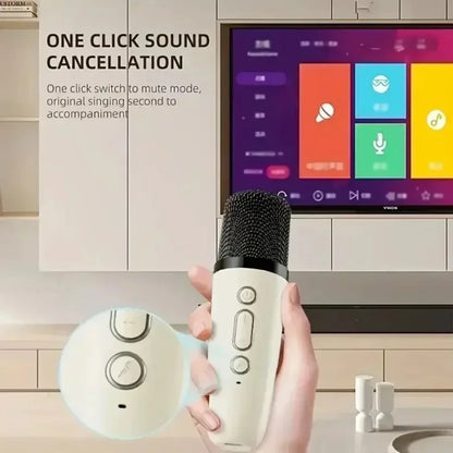 SingPro™ Portable Karaoke PA