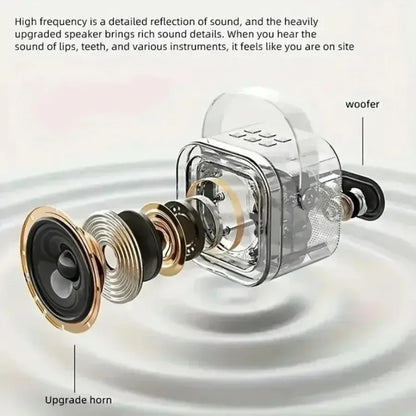 SingPro™ Portable Karaoke PA